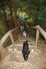 2009-09-20_ntb_8788