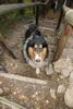 2009-09-20_ntb_8791