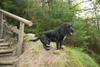 2009-09-20_ntb_8795