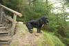 2009-09-20_ntb_8796