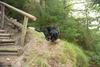 2009-09-20_ntb_8797