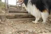 2009-09-20_ntb_8817