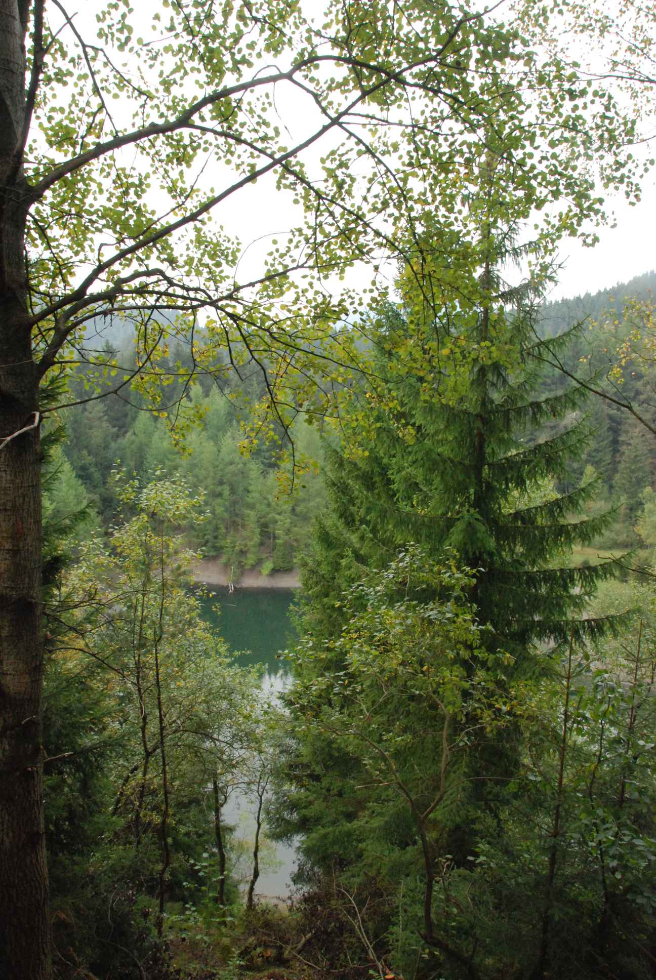 2009-09-20_ntb_8823