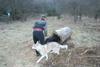 2009-04-02_ntb_5807