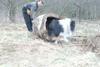 2009-04-02_ntb_5808
