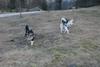 2009-04-02_ntb_5813
