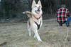 2009-04-02_ntb_5816