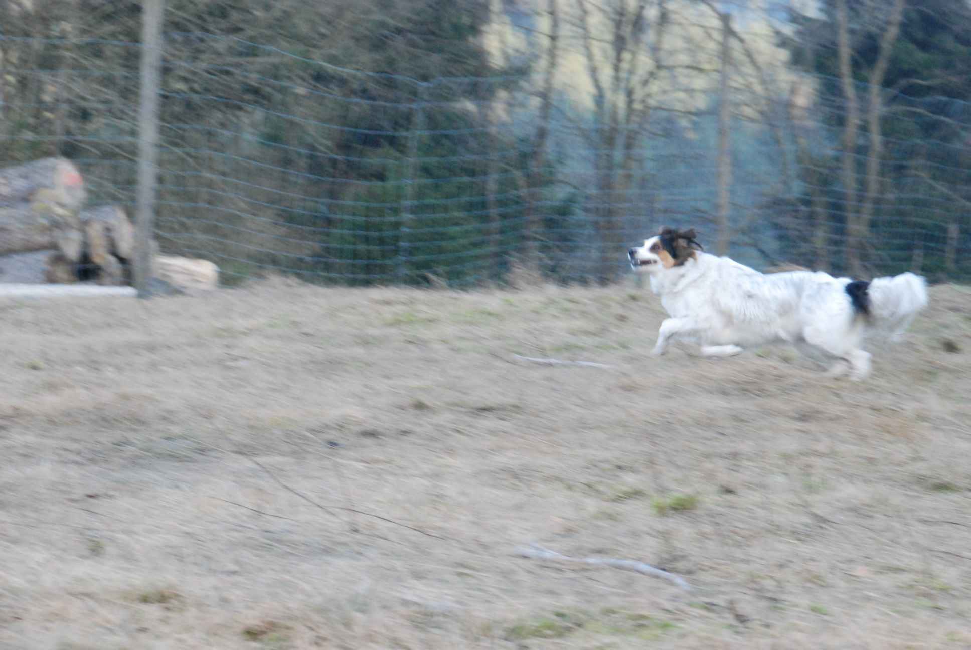 2009-04-02_ntb_5819