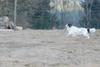 2009-04-02_ntb_5819