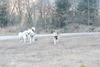 2009-04-02_ntb_5820