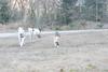 2009-04-02_ntb_5822