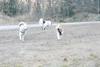 2009-04-02_ntb_5823
