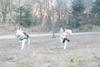 2009-04-02_ntb_5825
