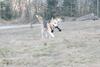 2009-04-02_ntb_5827