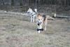 2009-04-02_ntb_5829