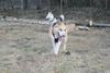 2009-04-02_ntb_5830