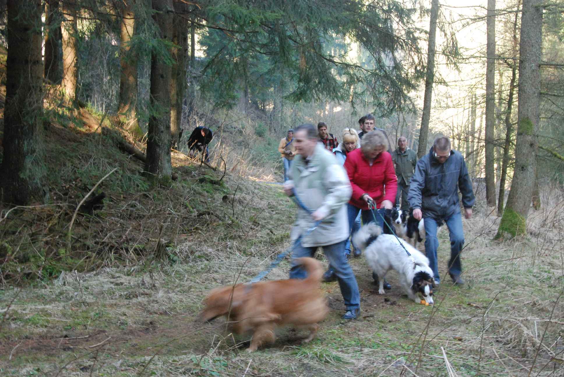 2009-04-03_ntb_5843