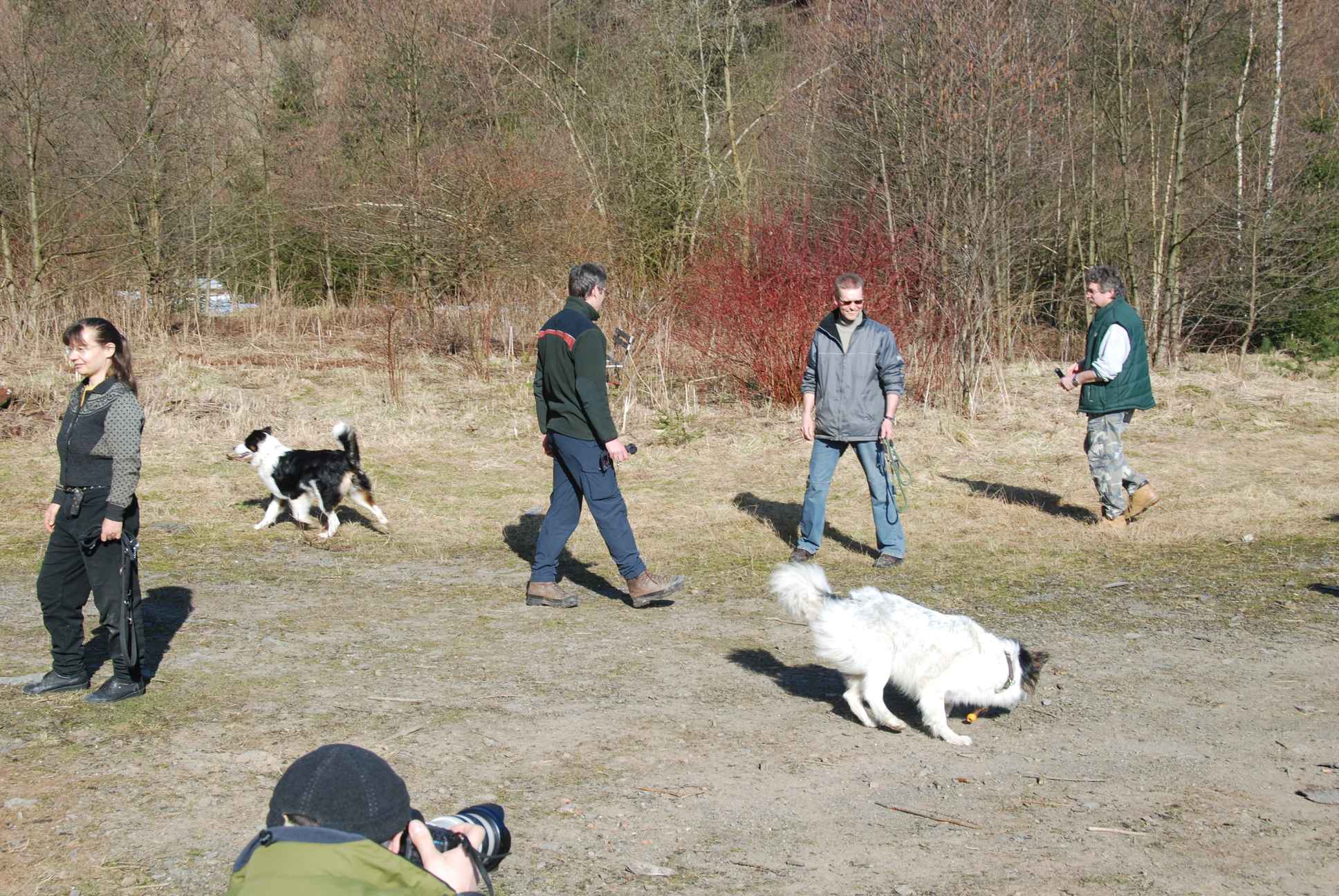 2009-04-03_ntb_5861