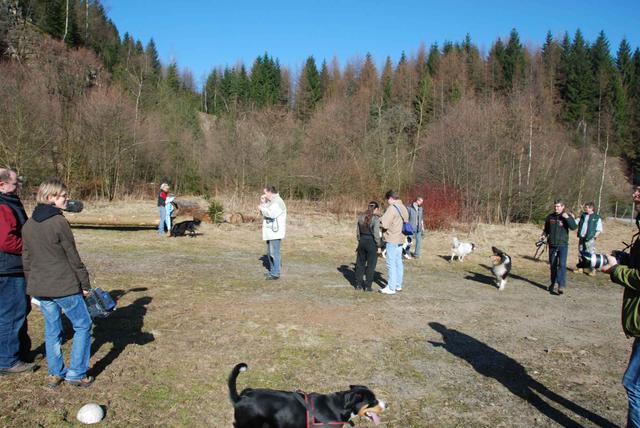 2009-04-03_ntb_5868
