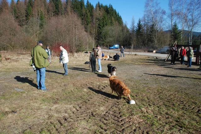 2009-04-03_ntb_5876