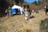2009-04-03_ntb_5888