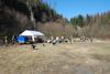2009-04-03_ntb_5889