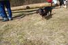 2009-04-03_ntb_5901