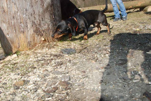 2009-04-03_ntb_5903