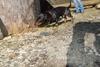 2009-04-03_ntb_5903