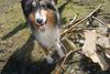 2009-04-03_ntb_5904