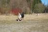 2009-04-03_ntb_5906