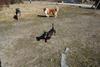 2009-04-03_ntb_5907
