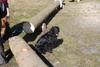 2009-04-03_ntb_5912