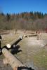 2009-04-03_ntb_5914