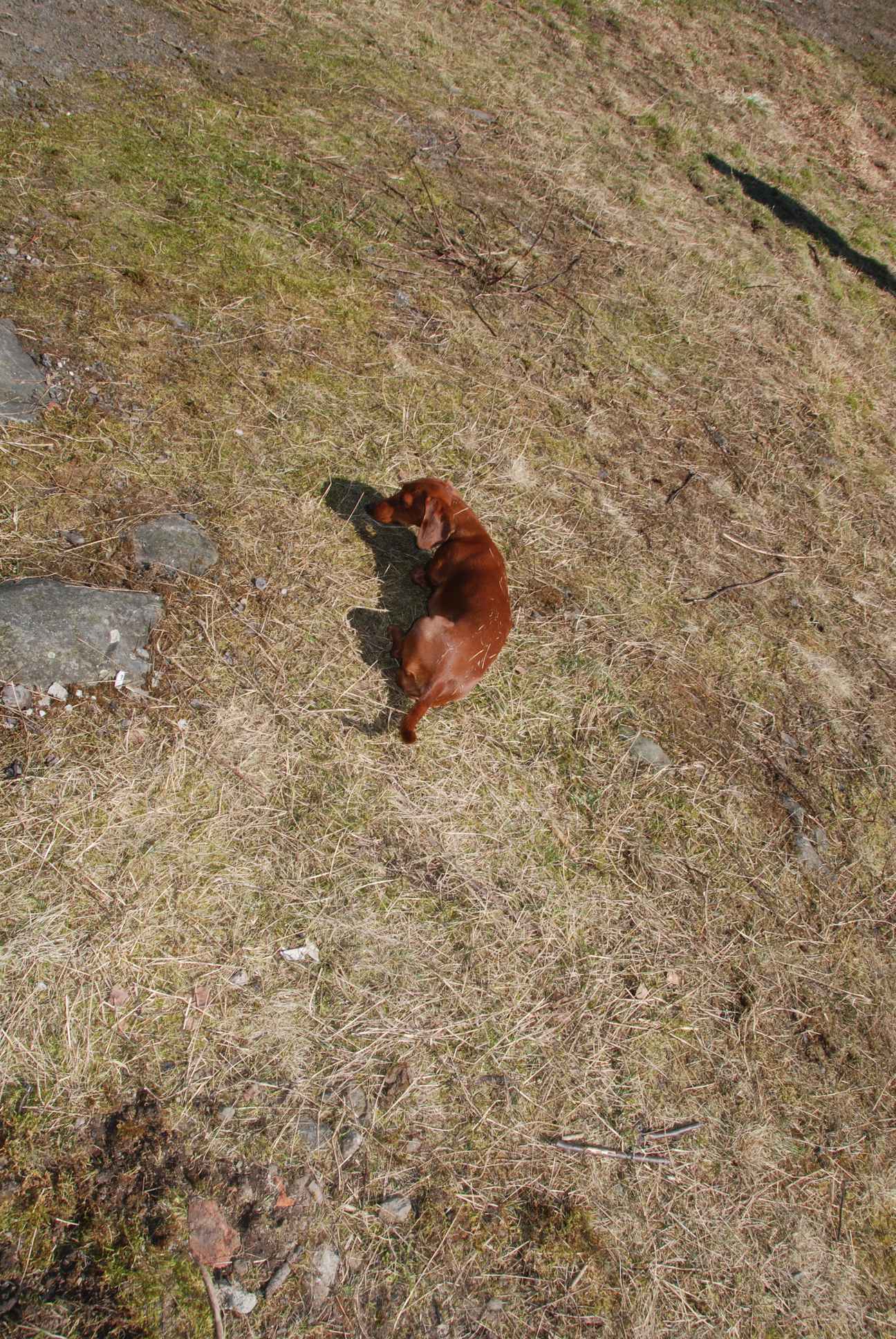 2009-04-03_ntb_5915