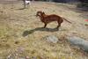 2009-04-03_ntb_5916
