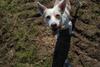 2009-04-03_ntb_5917