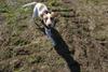 2009-04-03_ntb_5919