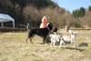 2009-04-03_ntb_5920