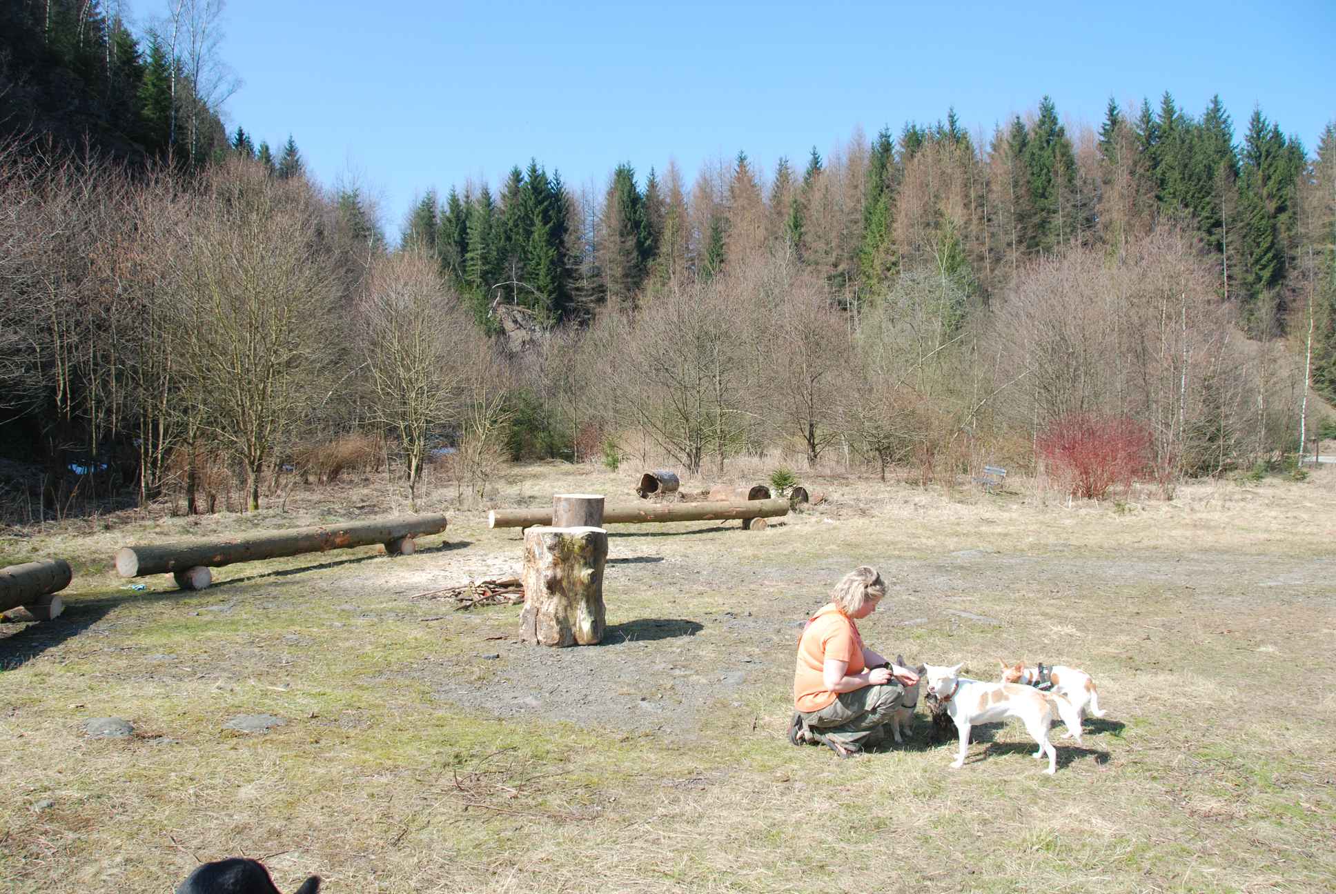 2009-04-03_ntb_5924