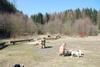2009-04-03_ntb_5924
