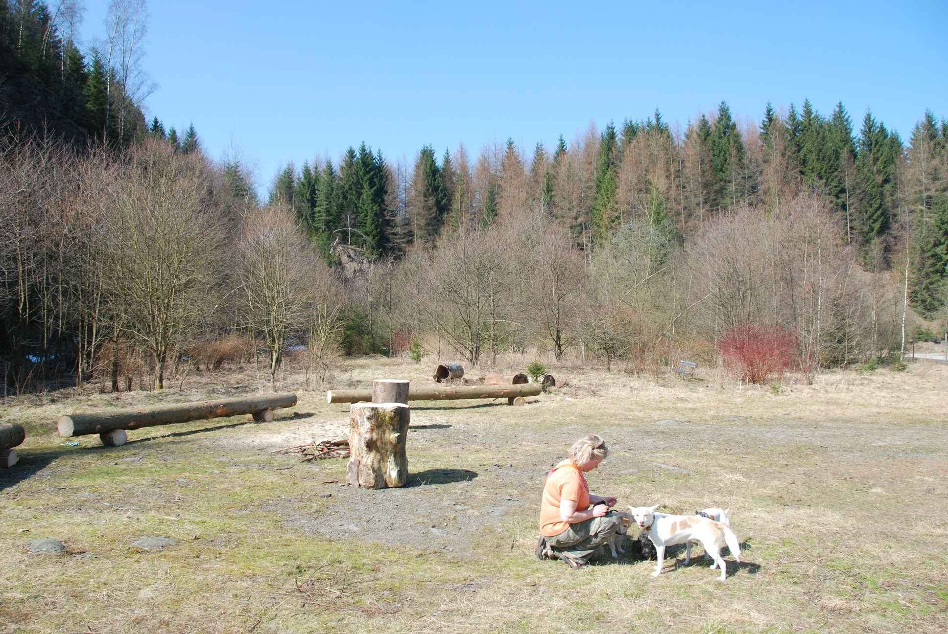 2009-04-03_ntb_5925