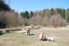 2009-04-03_ntb_5925