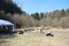 2009-04-03_ntb_5926