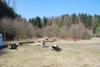 2009-04-03_ntb_5927