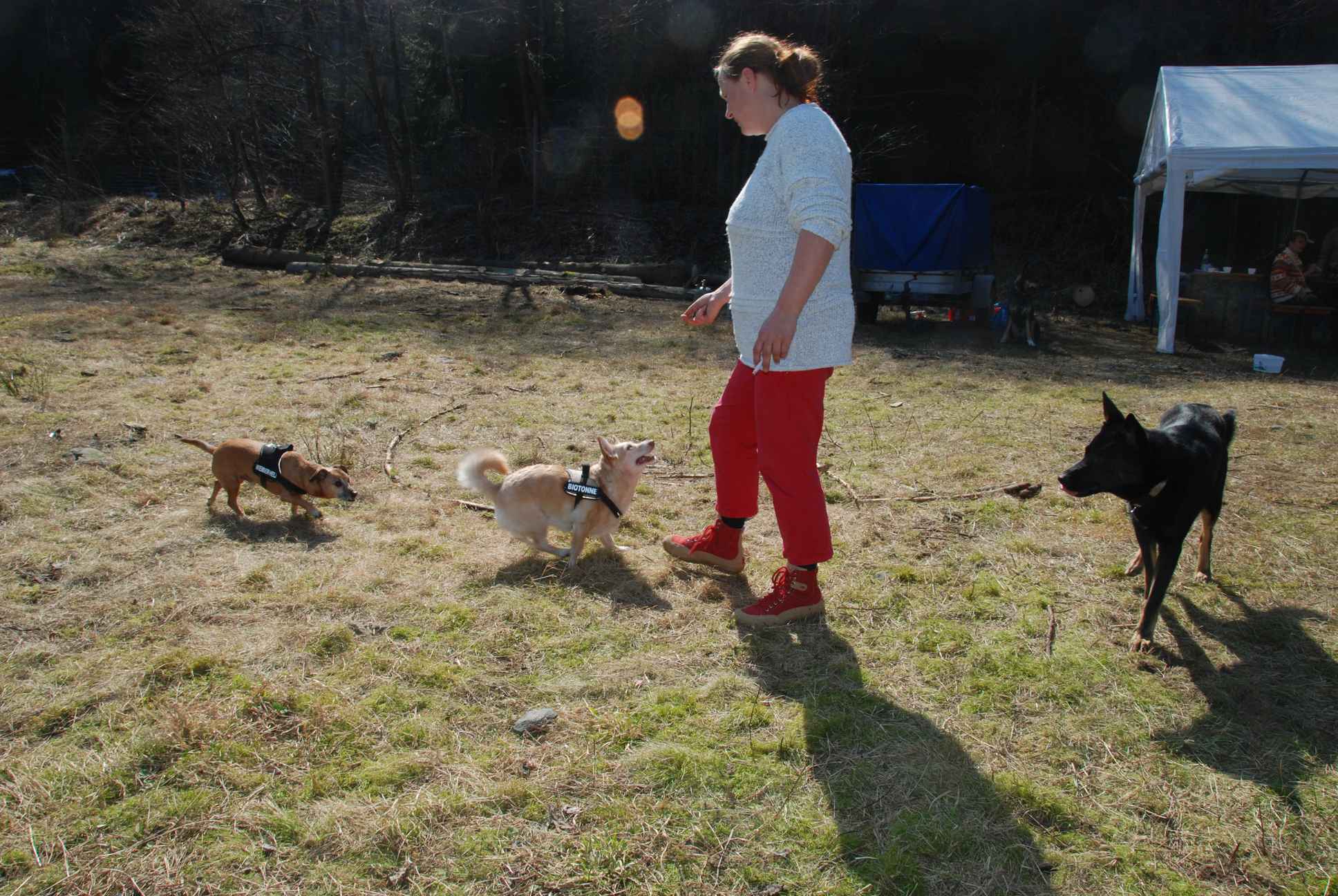 2009-04-03_ntb_5930