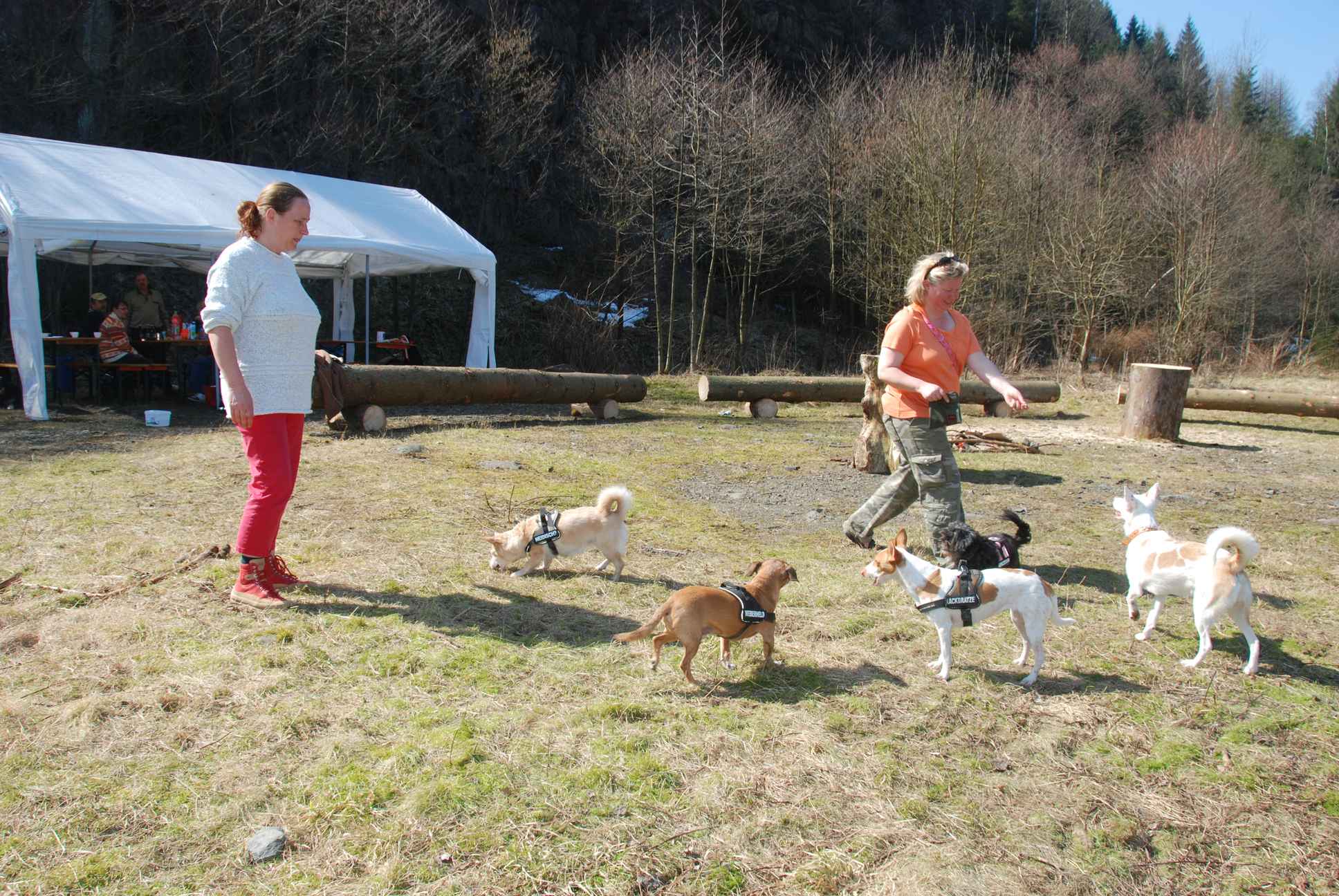 2009-04-03_ntb_5931