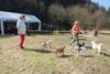 2009-04-03_ntb_5931