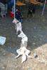 2009-04-03_ntb_5933