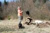 2009-04-03_ntb_5937